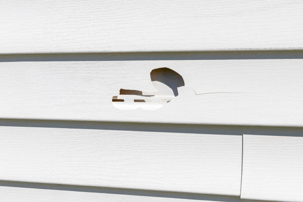 Custom Trim and Detailing for Siding in Tuscarawas, OH